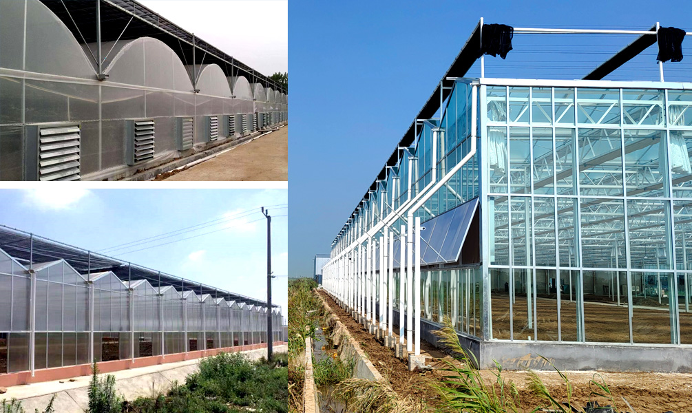 66277ca26027a.jpg 未标题-1.jpg