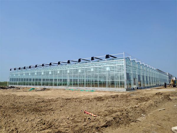 大跨度玻璃温室在农业生产