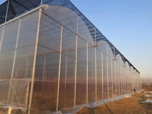 连栋温室大棚的概述和结构
