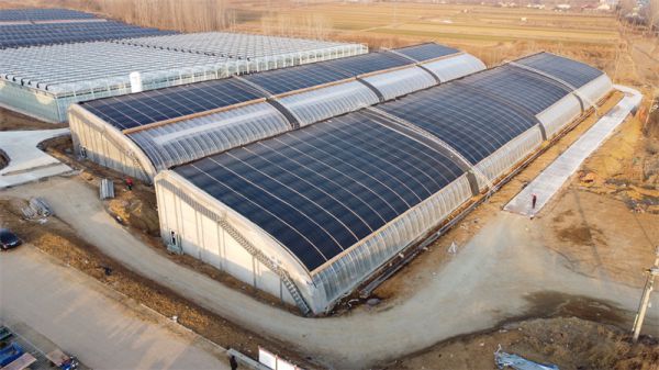 日光温室发展的适宜地区